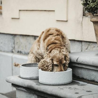 Kentucky Dog Bowl Granite - Grå - animondo.dk