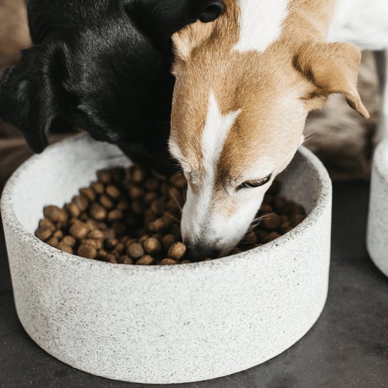 Kentucky Dog Bowl Granite - Grå - animondo.dk