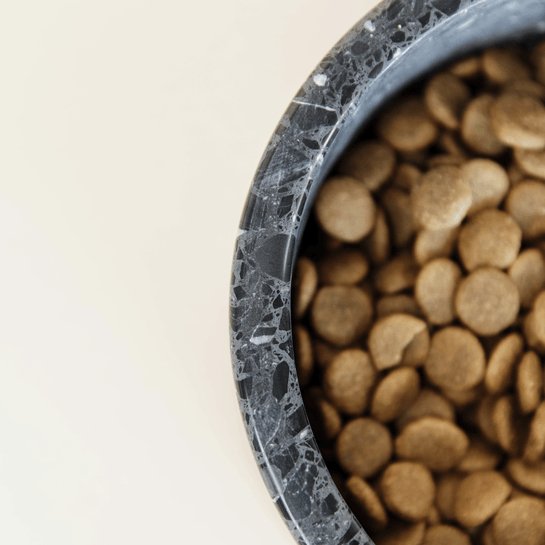 Kentucky Dog Bowl Terrazzo Stone - Sort - animondo.dk