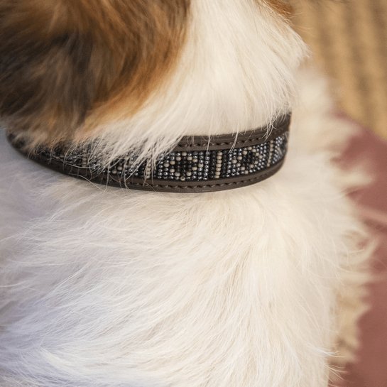 Kentucky Dog Collar Handmade Pearls - Sølv - animondo.dk