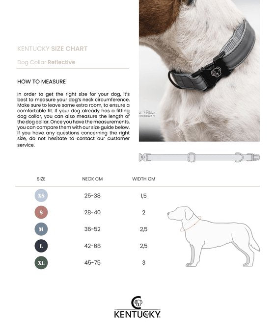 Kentucky Dog Collar Reflective - animondo.dk