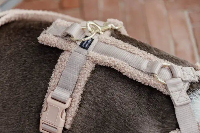 Kentucky Dog Harness Active Teddy Fleece - Beige - animondo.dk