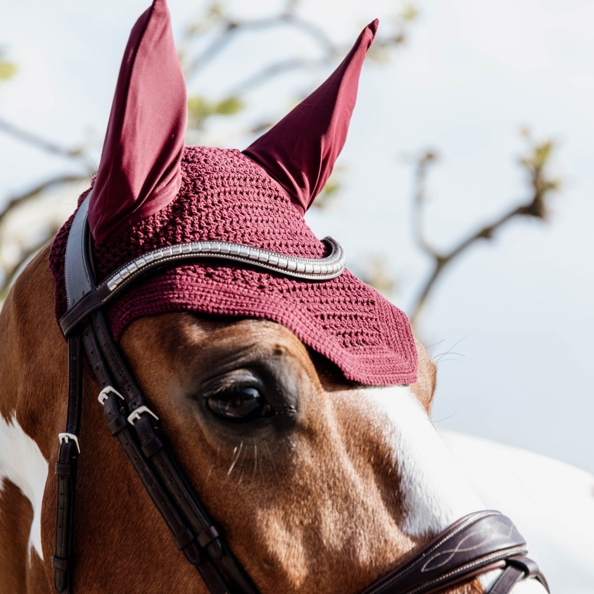 Kentucky Horsewear Wellington Hut - Bordeaux - animondo.dk - 42608 - 17 - F