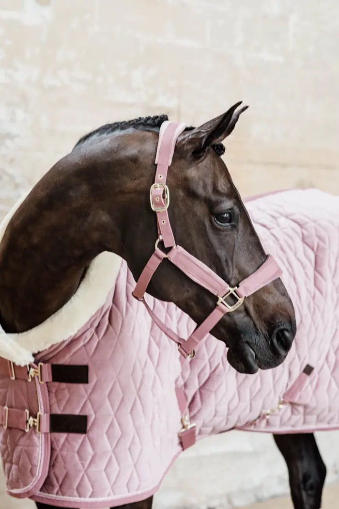 Kentucky Velvet Halter - Old rose - animondo.dk