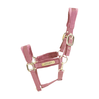 Kentucky Velvet Halter - Old rose - animondo.dk