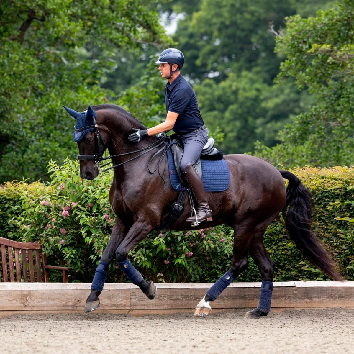 LeMieux Suede Dressage Square Sadelunderlag - Navy - animondo.dk