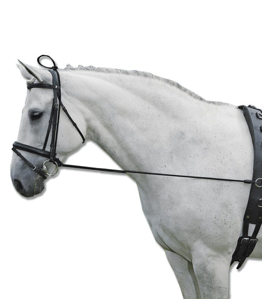 Animondo Longierleinen und Zubehör zum Longieren von Pferden und Ponys online ...