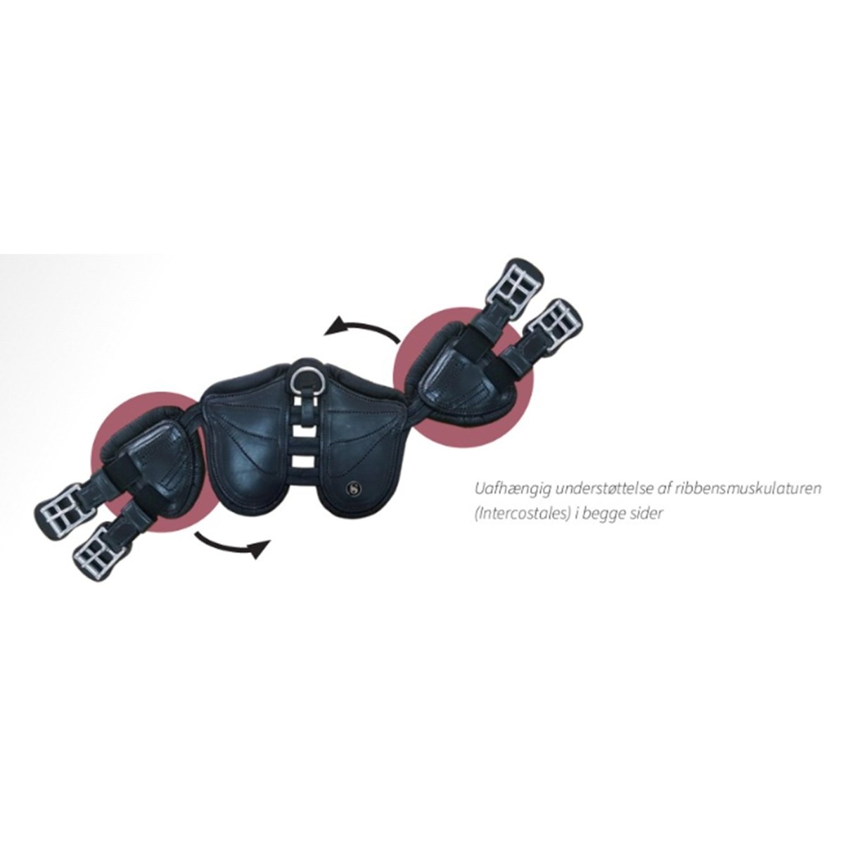 Scharf Freedom Jumping Gjord - Sort - animondo.dk