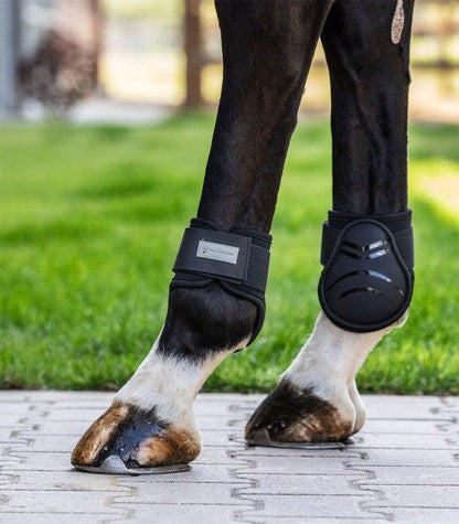 Waldhausen Fetlock Boots Basic Plus - animondo.dk