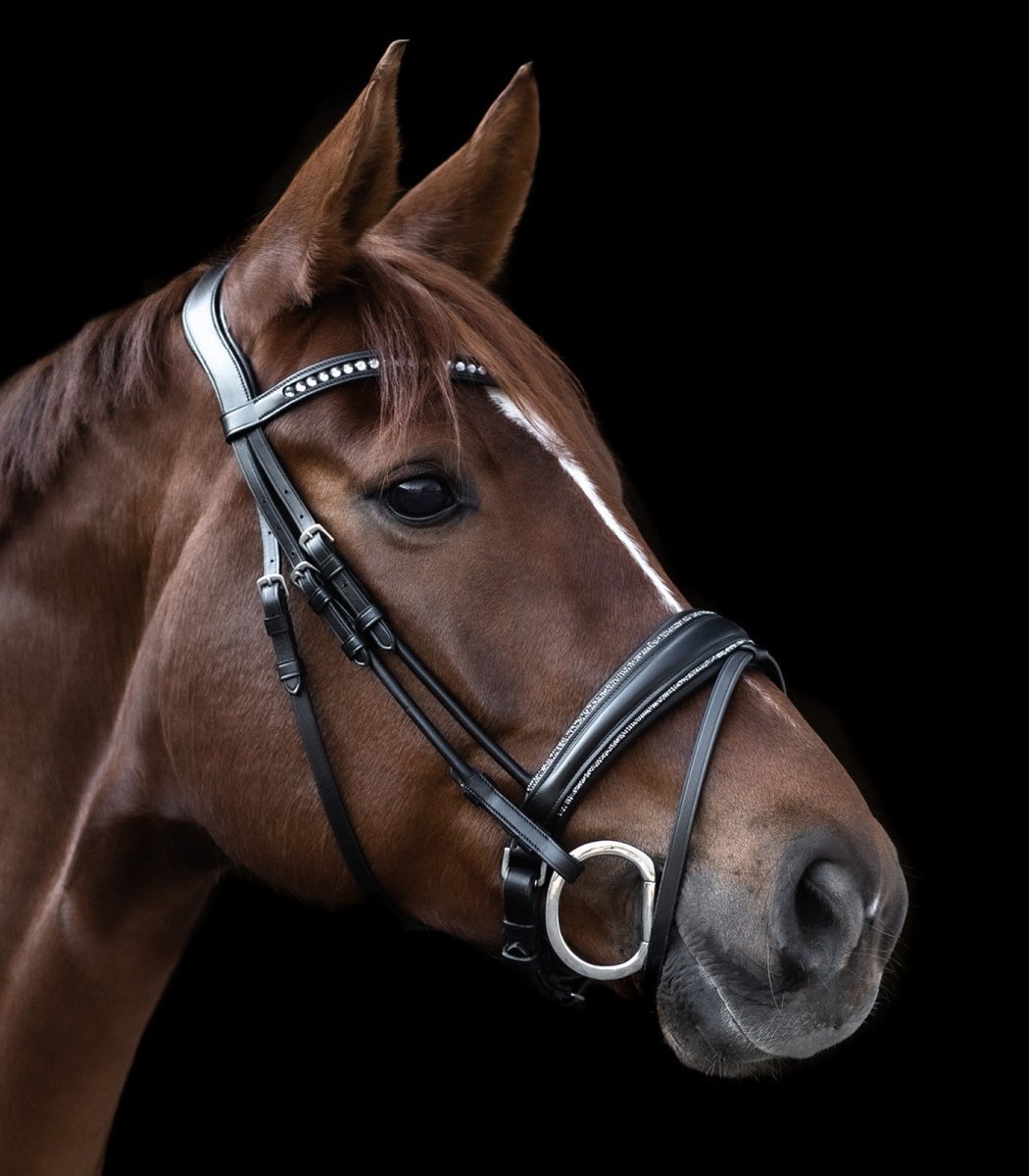 Waldhausen Trense - "GLAMOUR" - animondo.dk - 9808301 - WB